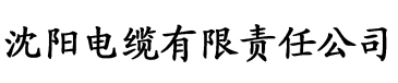 91香蕉视频破解版电缆厂logo